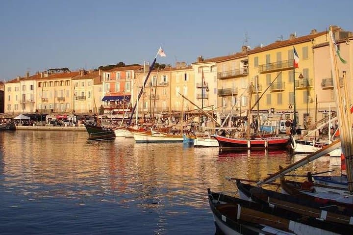 Tour di un giorno in piccoli gruppi a St Tropez e Port Grimaud da Nizza