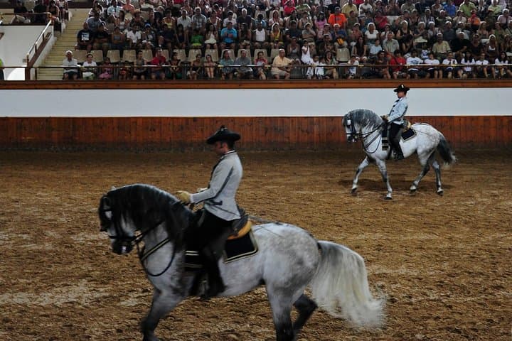 Jerez et Cadix avec Ballet Équestre et Dégustation de Sherry depuis Séville