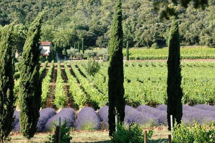 Ganztägige Weinverkostung im Luberon von Marseille — Foto 2