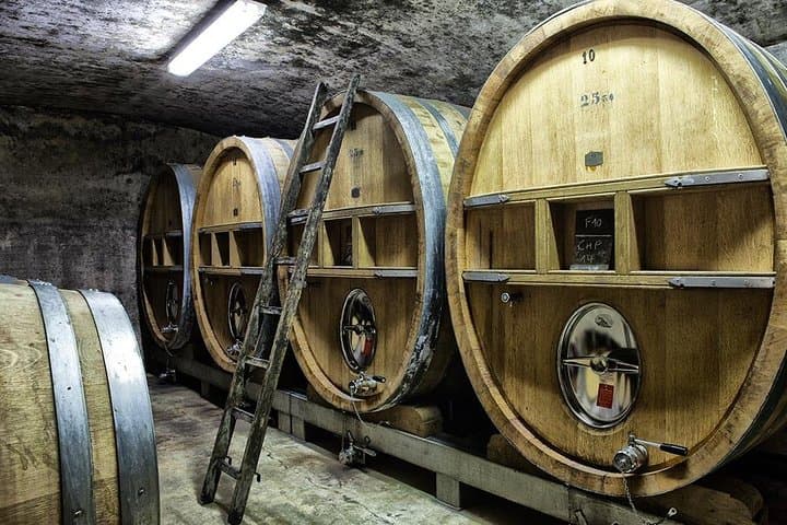 Ganztägige Weinverkostungstour rund um Bandol & Cassis ab Marseille — Foto 3