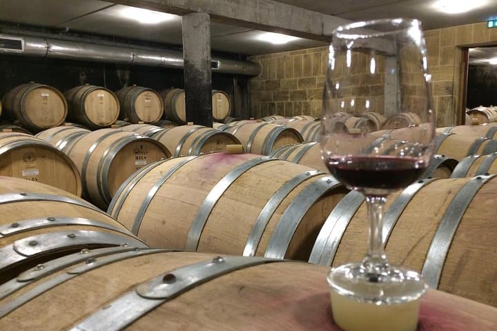 Côtes du Rhône Wein Tour - Kleine Gruppe ab Lyon