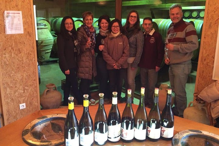 Die originale Syrah-Weintour - Nordrhône-Tal