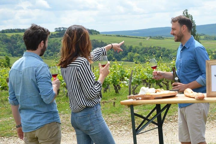 Tour de Viñedos de Chablis y Borgoña desde París — foto 1