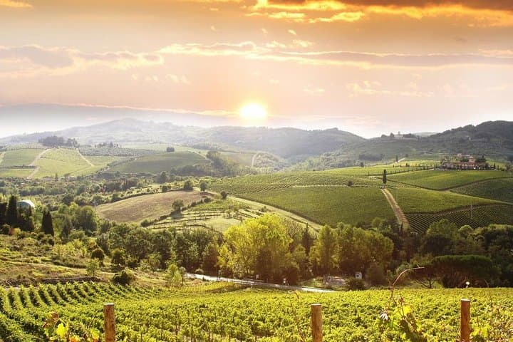 Private Chianti-Weintour ab Florenz — Foto 2