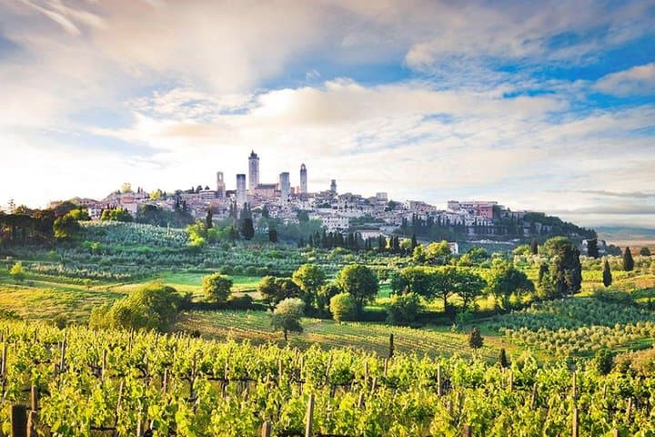 Tour Privato di un Giorno Intero in Toscana da Firenze