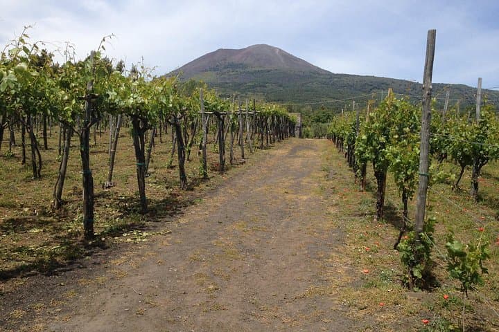 Pompeji und Herculaneum Weintour von Amalfi — Foto 5