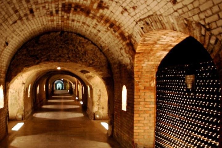 Excursión VIP de un día a Champagne desde París — foto 4