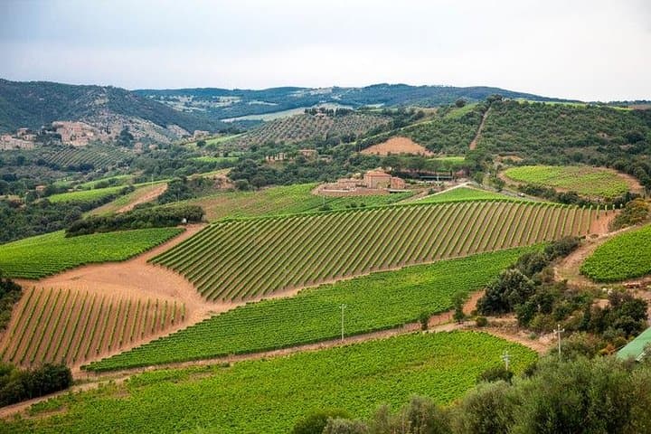 Excursión de un día a Pisa, Siena y San Gimignano