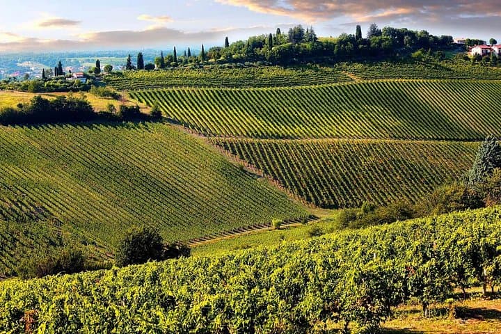 Chianti Halbtages-Weintour in den toskanischen Hügeln ab Pisa — Foto 3