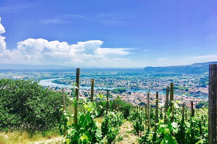 Nordrhône-Tal ab Lyon – Ganztägige Tour — Foto 2