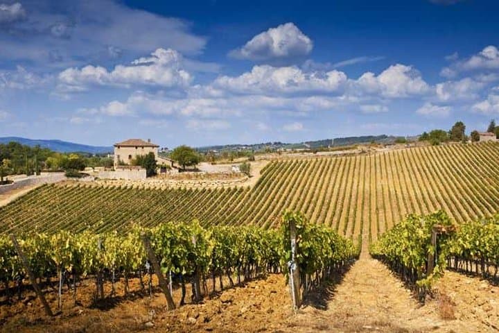 Excursión de un día a Pisa, Siena y San Gimignano — foto 2