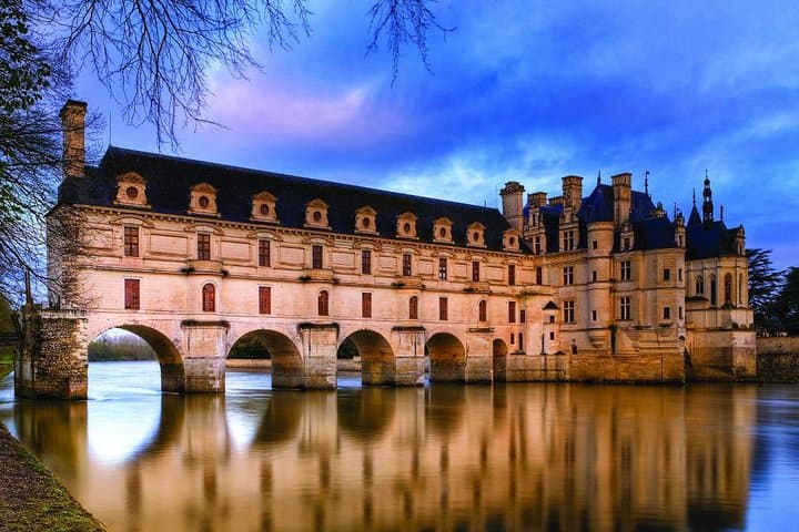 Escursione Privata ai Castelli della Valle della Loira da Parigi — foto 2