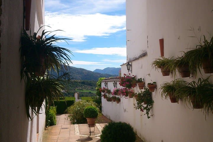 Tour Privato dei Villaggi Bianchi e Ronda da Siviglia — foto 4