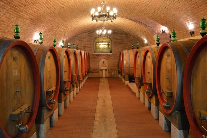Pagus Wine Tours® - Zwei Amarone-Weingüter - Halbtägige Weinprobe — Foto 4