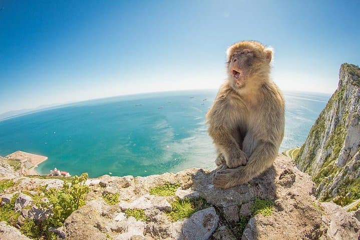 Excursion d'une journée à Gibraltar depuis Séville — photo 2