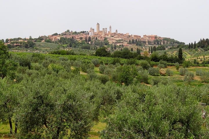 Private Tour nach Siena und San Gimignano mit Weinprobe & Mittagessen