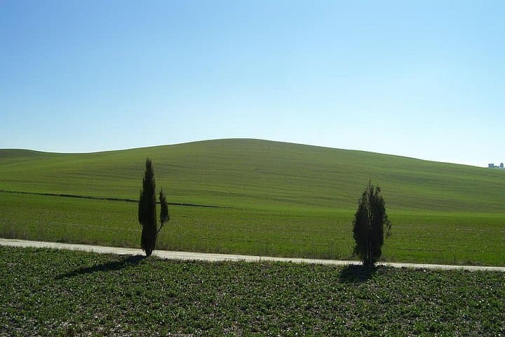 Private Tour nach Siena und San Gimignano mit Weinprobe & Mittagessen — Foto 3
