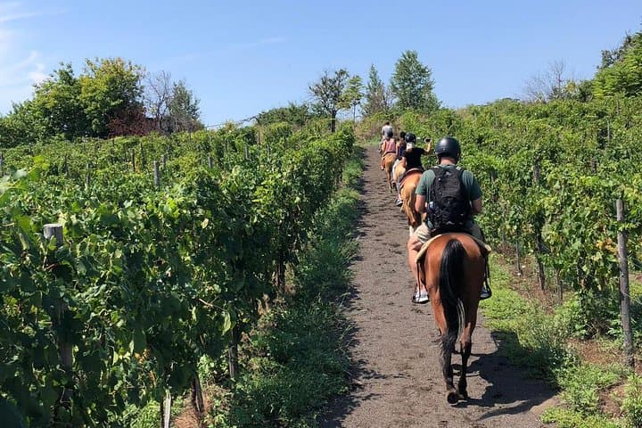 Pferdereiten und Weinprobe am Vesuv — Foto 2