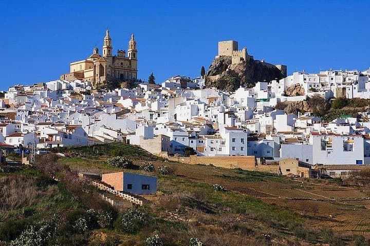 Escursione Guidata Privata di un Giorno ai Villaggi Bianchi e Ronda da Siviglia — foto 5
