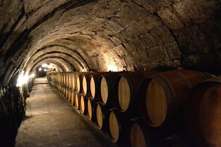 Ribera del Duero Kleingruppentour: Tapas & Weinprobe — Foto 3