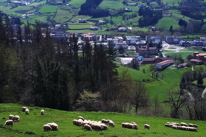 Idiazabal-Käse-Tour ab San Sebastián — Foto 3