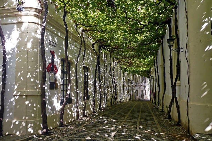 Excursion d'une journée à Cadix et Jerez depuis Séville — photo 5