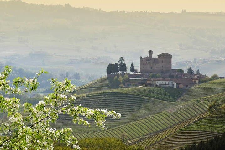 Weinverkostungstour in Langhe — Foto 4