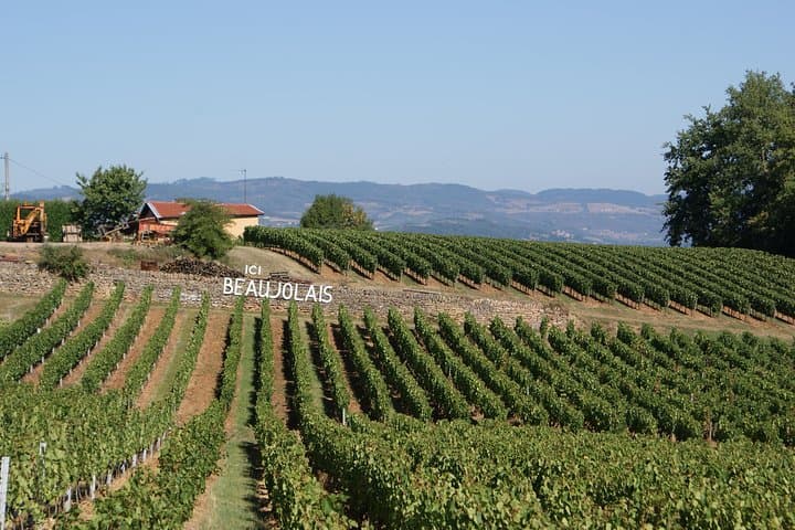 Beaujolais & Pérouges Mittelalterliche Stadt Kleingruppentour ab Lyon — Foto 4