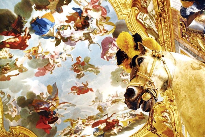 Tour Privato del Palazzo Reale di Torino con Cappella della Sacra Sindone — foto 4