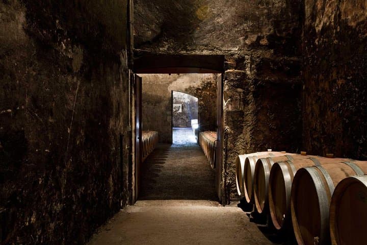 Bordeaux: Château-Besuch, Unterirdische Keller & Weinprobe — Foto 5