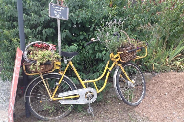 Tour gastronómica en bicicleta - Knoblauchsland — foto 2