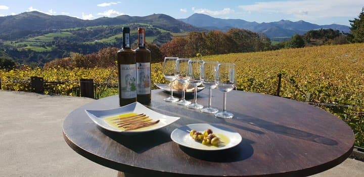Getaria Txakoli Wein Tour von San Sebastian — Foto 4