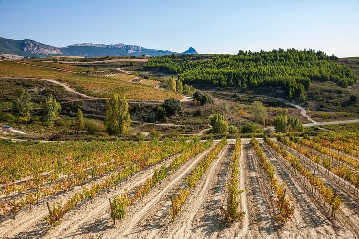 La Rioja Weintour und Laguardia von San Sebastián — Foto 1