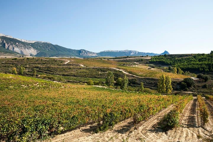 Rioja-Weintour mit Mittagessen ab San Sebastián — Foto 5