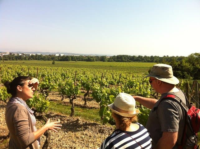 Cité de Carcassonne und Weinverkostung Private Tagestour ab Toulouse — Foto 2