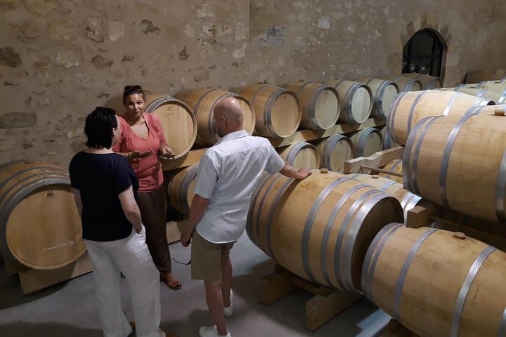 Halbtägige private Tour in Saint-Emilion im Beiwagen — Foto 4