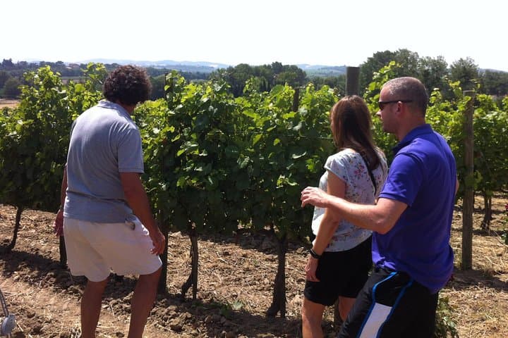 Cité de Carcassonne und Weinverkostung Private Tagestour ab Toulouse — Foto 3