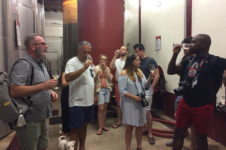 Cité de Carcassonne und Weinverkostung Private Tagestour ab Toulouse — Foto 4