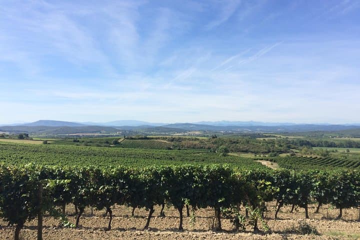 Cité de Carcassonne und Weinverkostung Private Tagestour ab Toulouse — Foto 5