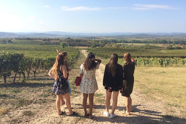 Cité de Carcassonne und Weinverkostung Private Tagestour ab Toulouse