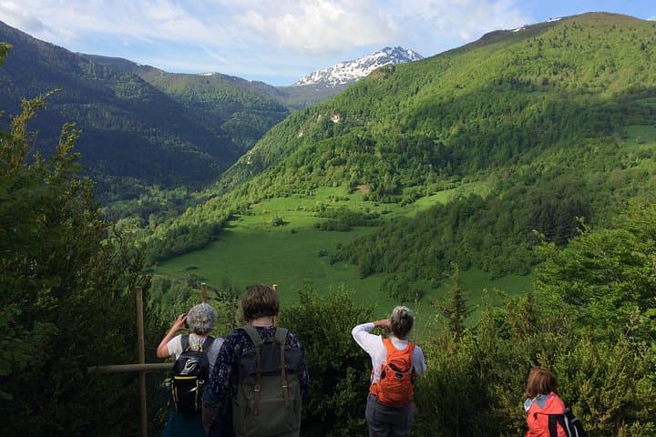 Tour di un giorno a Montségur e Mirepoix. Tour privato da Tolosa. — foto 3