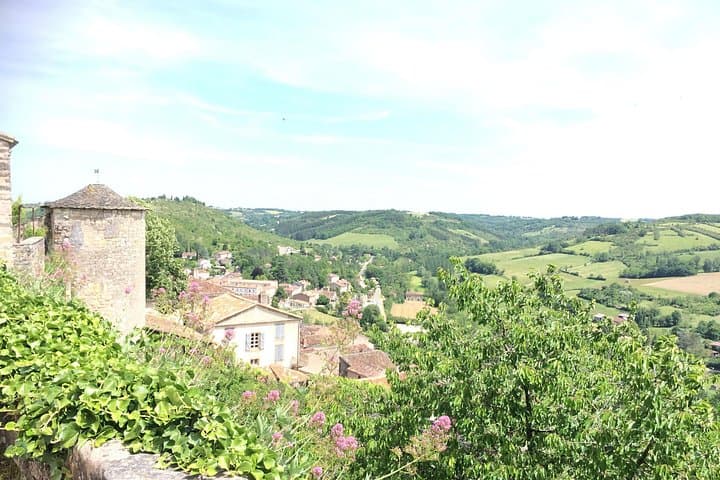 Tour Privato di un Giorno ad Albi e Cordes sur Ciel da Tolosa — foto 3