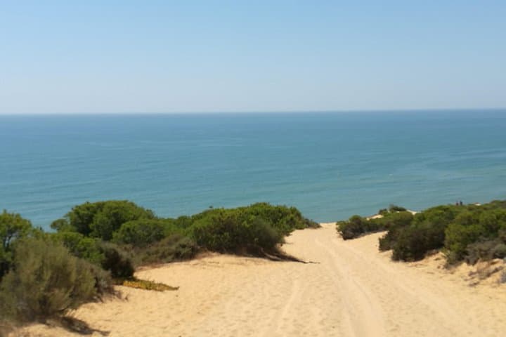 Parque Nacional de Doñana: Excursión Guiada de un Día desde Sevilla