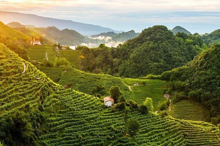 Premium Prosecco Hills Weintour mit Verkostungen in Venetien — Foto 2