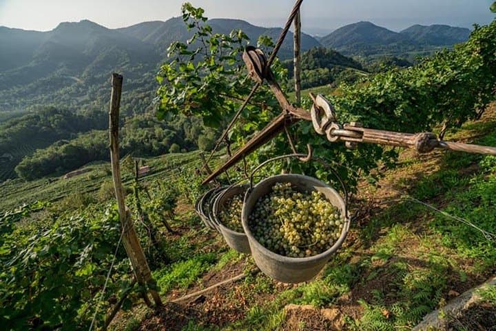 Premium Prosecco Hills Weintour mit Verkostungen in Venetien — Foto 3