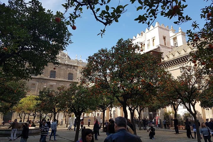 Kathedrale von Sevilla Tour mit bevorzugtem Eintritt — Foto 4