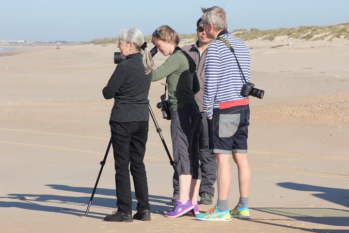 Geführte Tour durch den Nationalpark Doñana & Matalascanas ab Sevilla — Foto 5