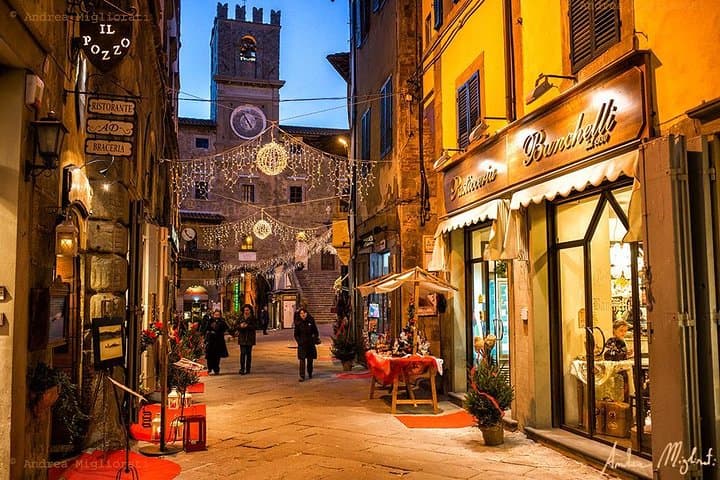Private Tour von Florenz nach Cortona und Montepulciano