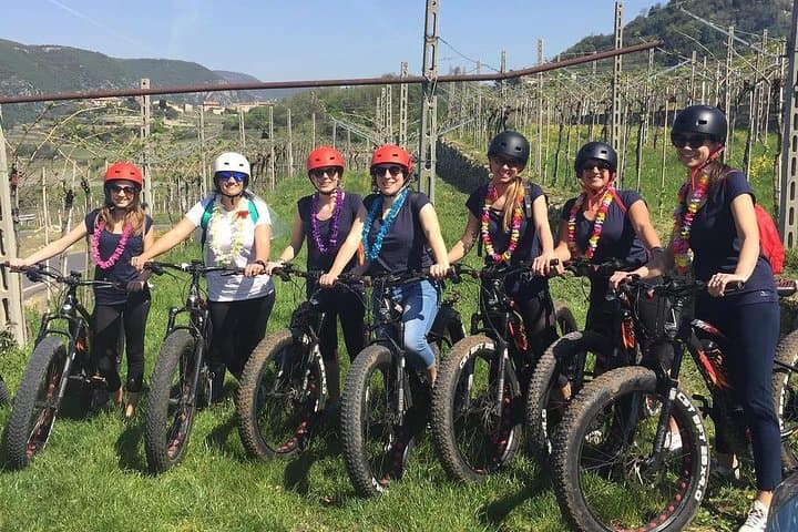 Tour in E-bike e Degustazione di Amarone in Valpolicella — foto 5