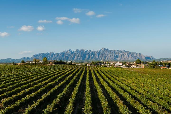 Private Montserrat und Cava Weingut Tour von Barcelona